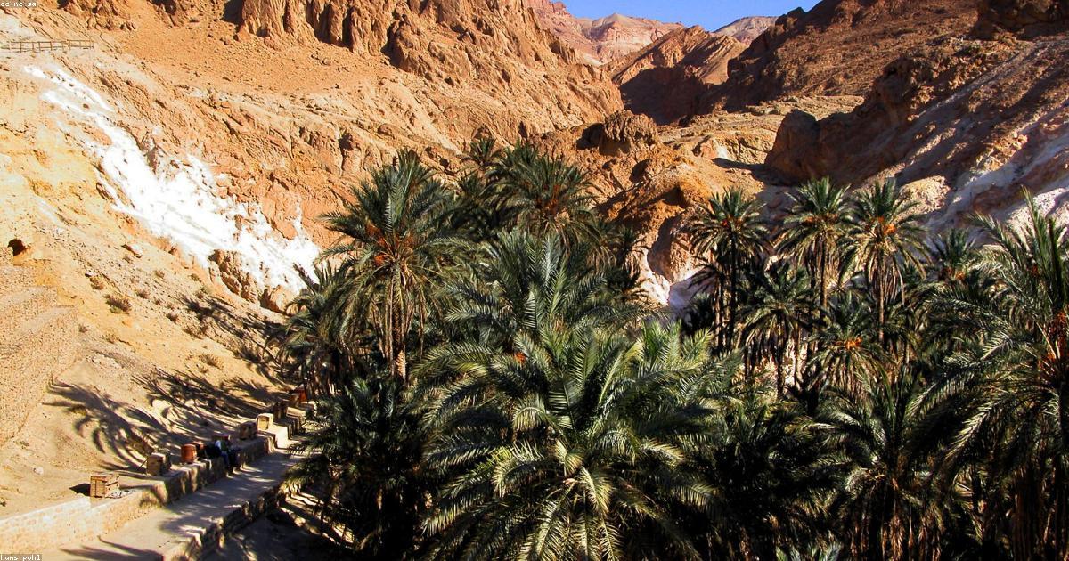 Créateurs émergents 2025: Les noms à retenir