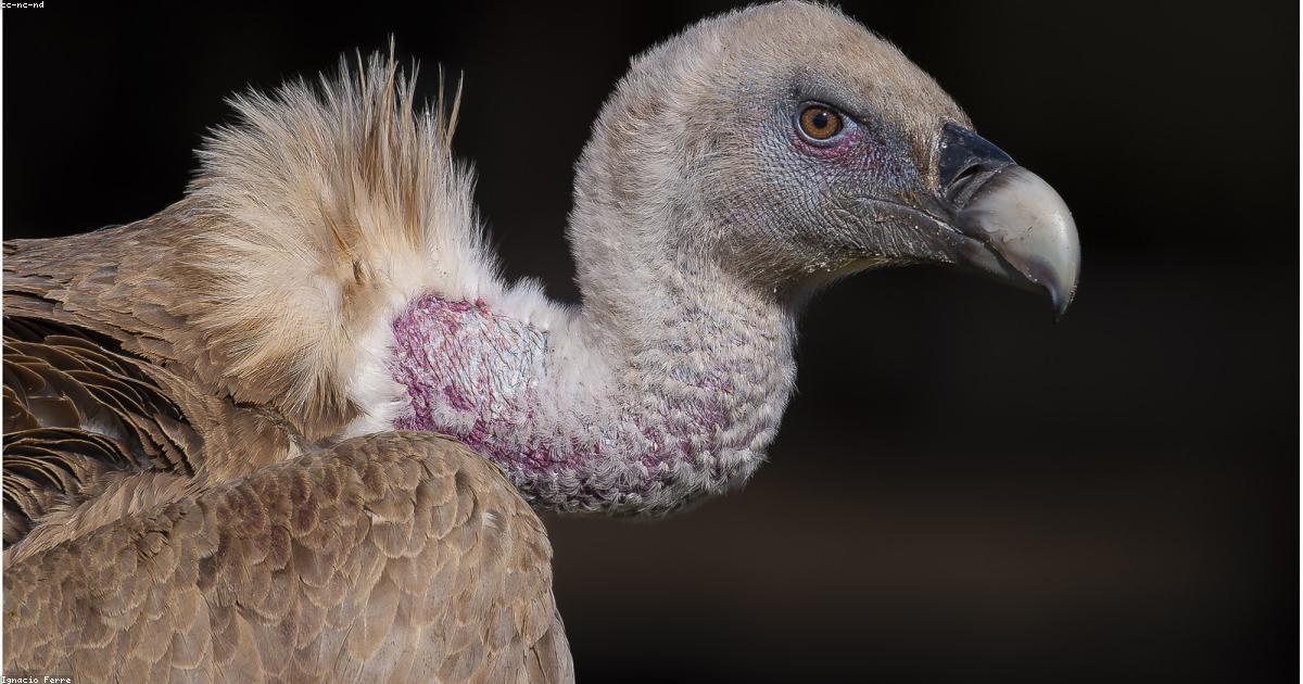 La montée des vêtements unisexes dans la mode actuelle