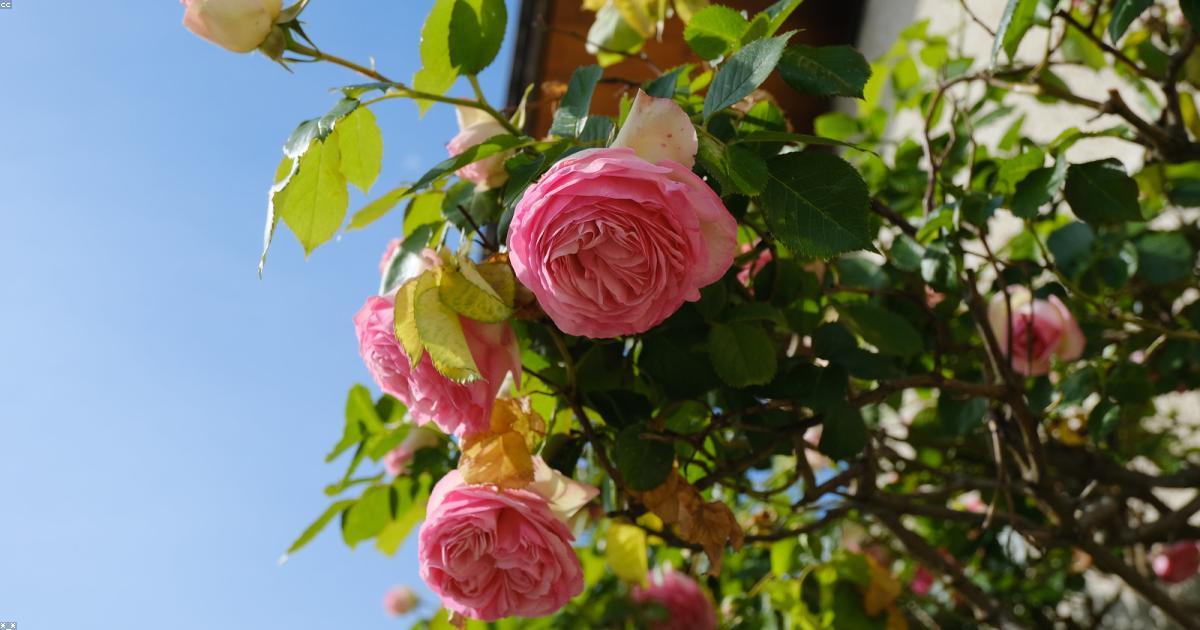 Les tendances de la mode durable à connaître