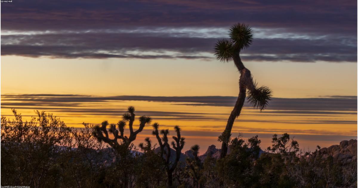 Les tendances qui célèbrent la diversité corporelle