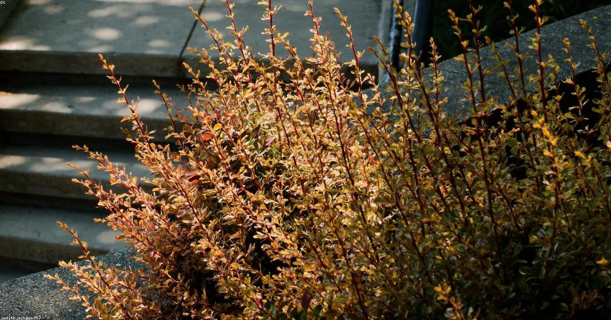 Les palettes de couleurs qui s’imposent cette saison