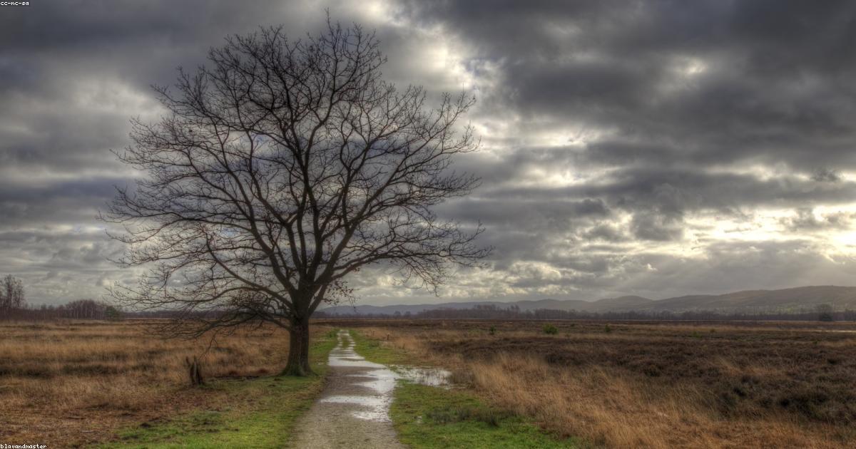Comment le télétravail influence nos choix vestimentaires