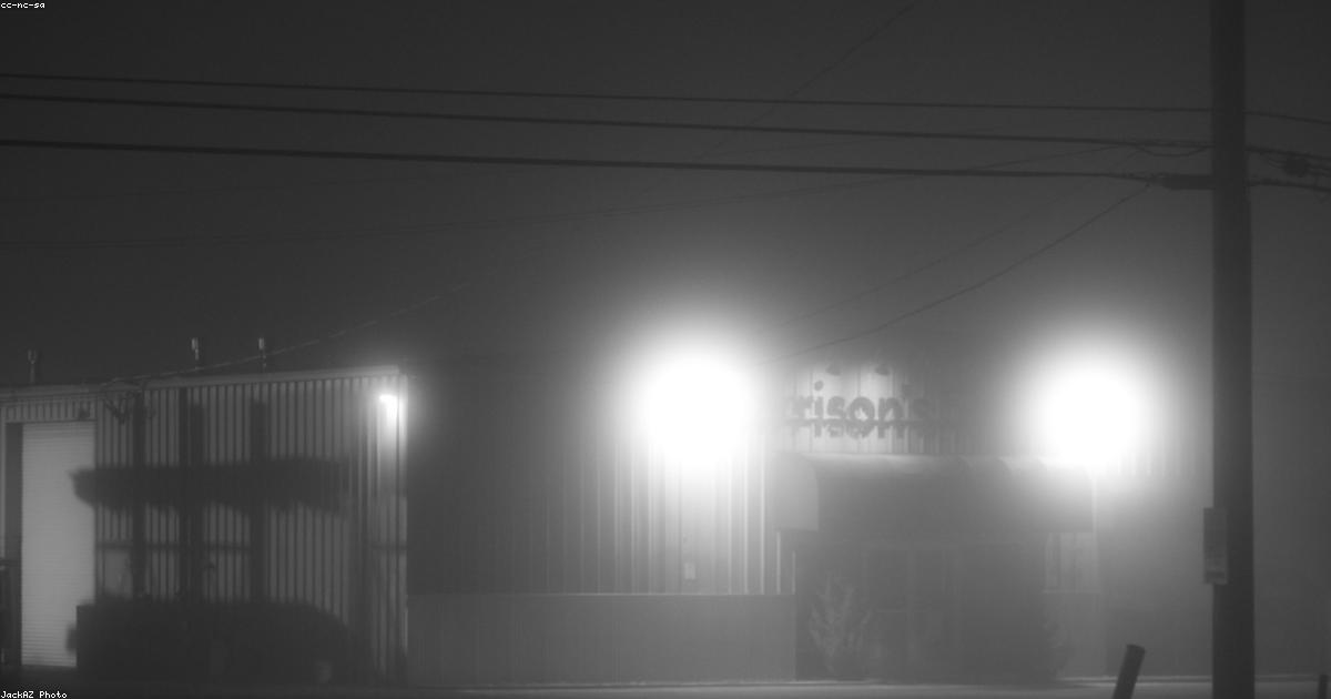 Tendances écoresponsables à adopter sans hésitation